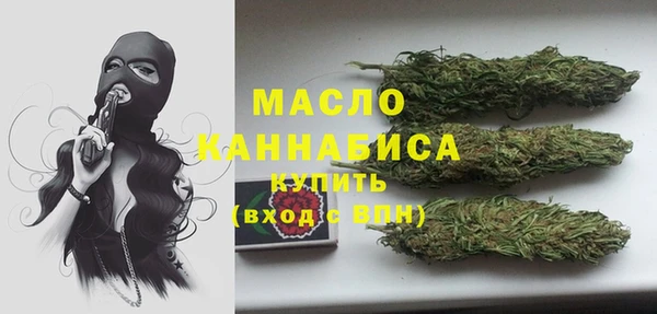 прущий лед Бородино