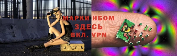 индика Бронницы