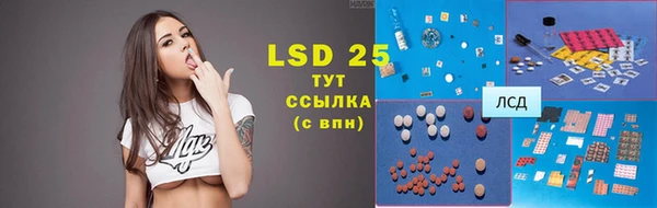прущий лед Бородино