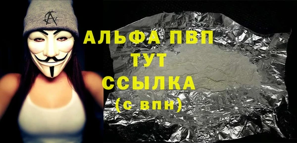 индика Бронницы