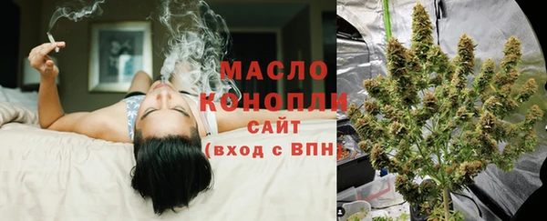 индика Бронницы