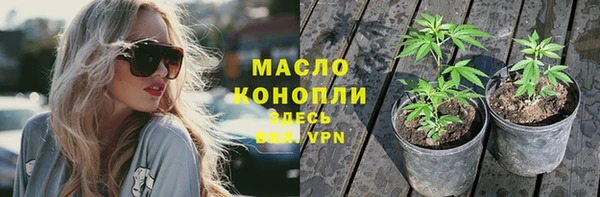 прущий лед Бородино
