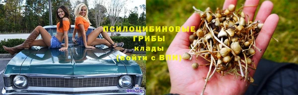 прущий лед Бородино