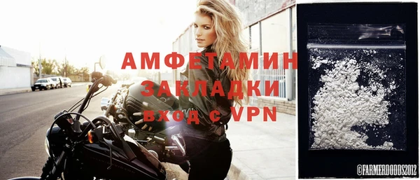 индика Бронницы