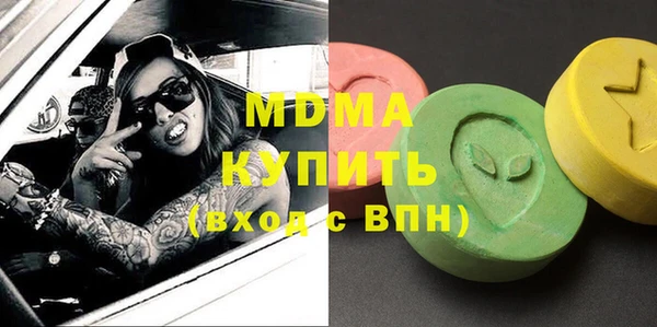 индика Бронницы