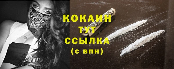 индика Бронницы