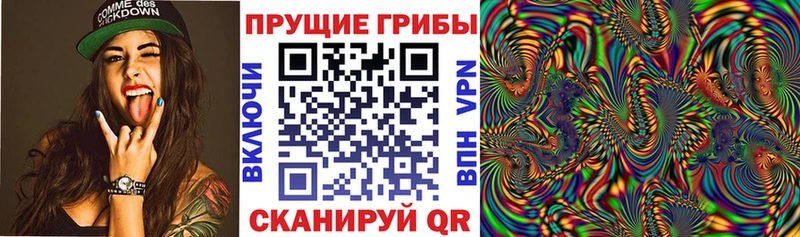 Купить Грязи Галлюциногенные грибы Cubensis